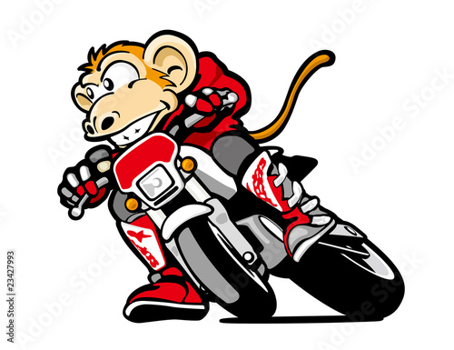 motard monkey