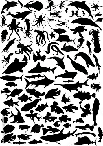 huge set of sea animals