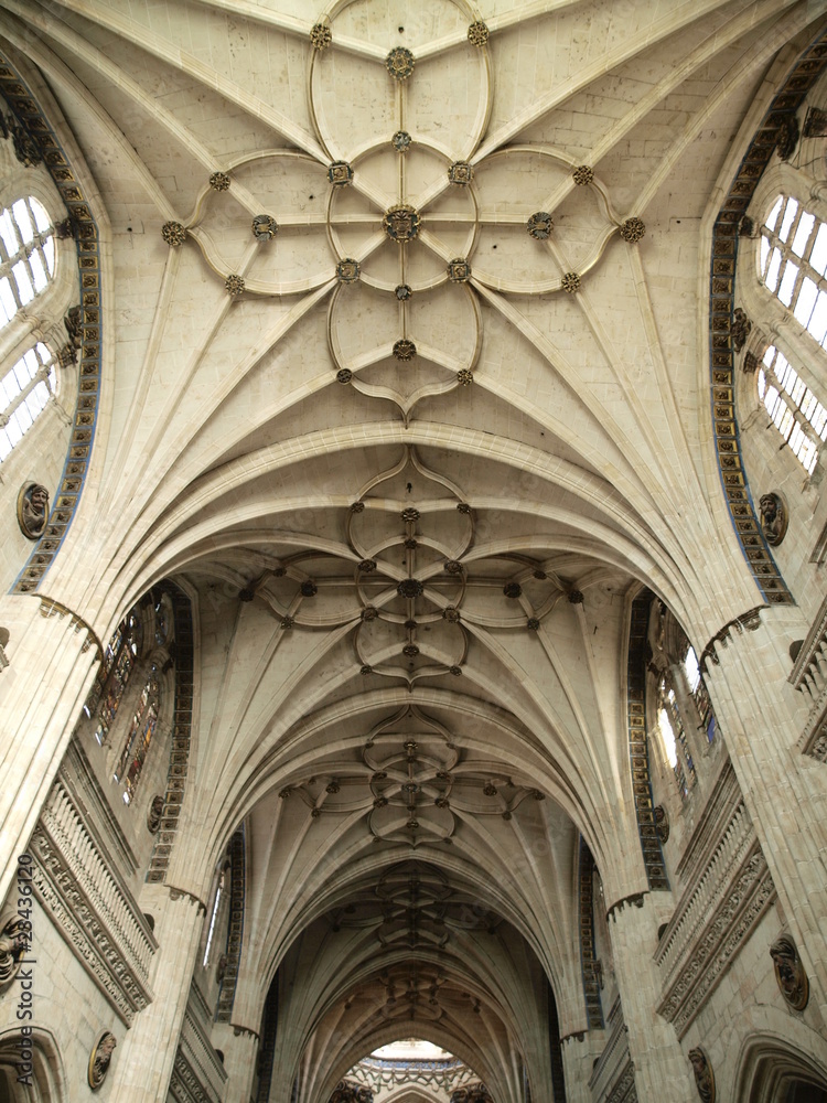 Boveda de la Catedral Nueva de Salamanca