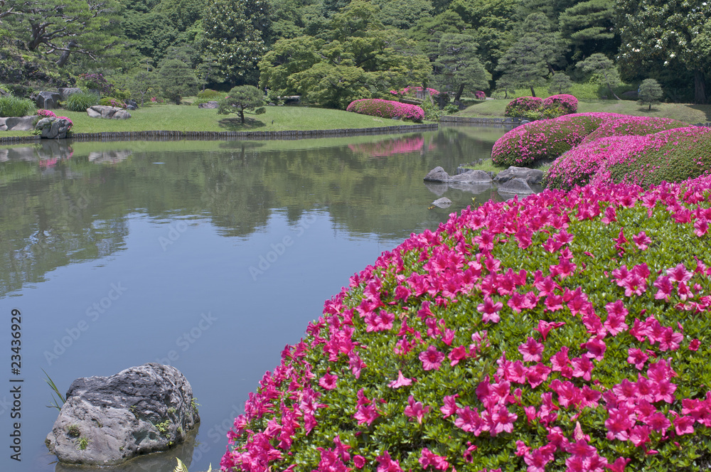 Naklejka premium 六義園のつつじと日本庭園