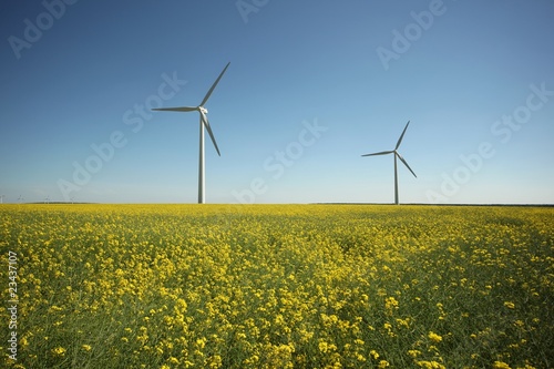 windkraft © Knut Wiarda