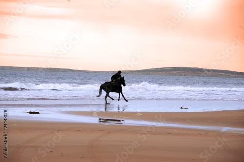 silhouette of a horse and rider galloping along shore