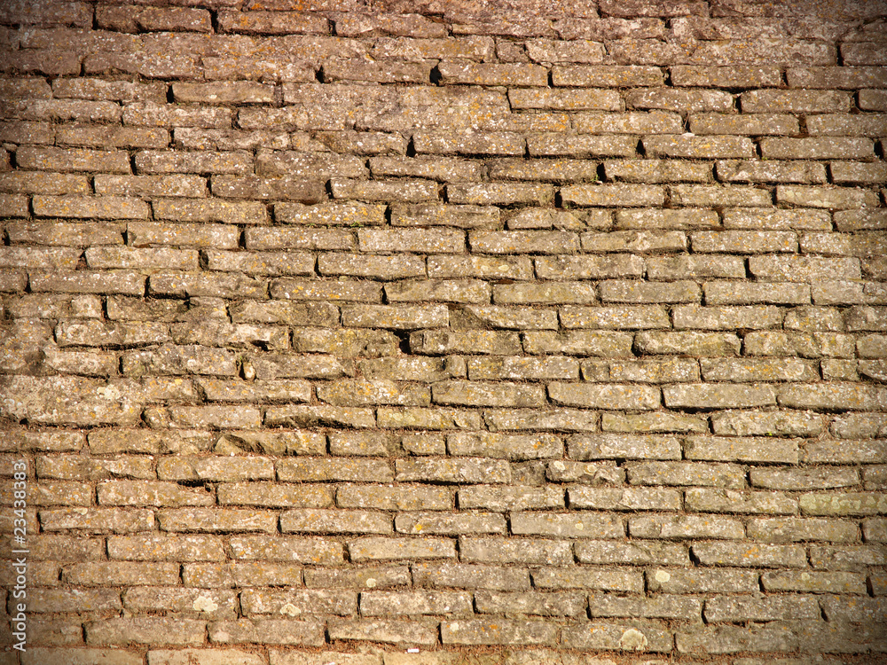 Naklejka premium Old Brick Wall