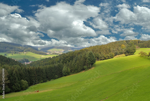 Schwarzwaldpanorma