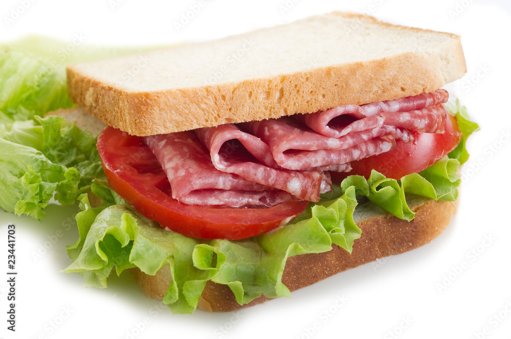 sandwich with salami - sandwich al salame