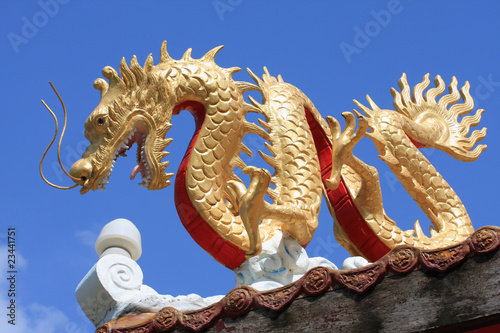 chinese gragon