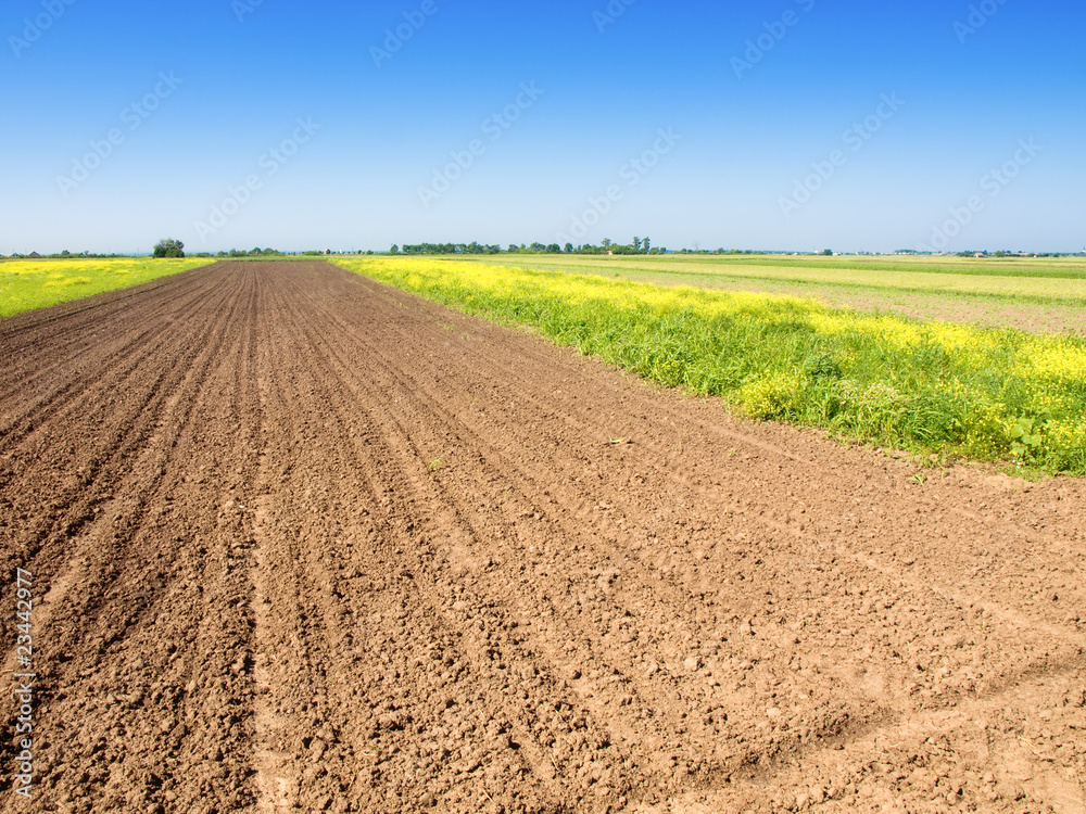 plowed field