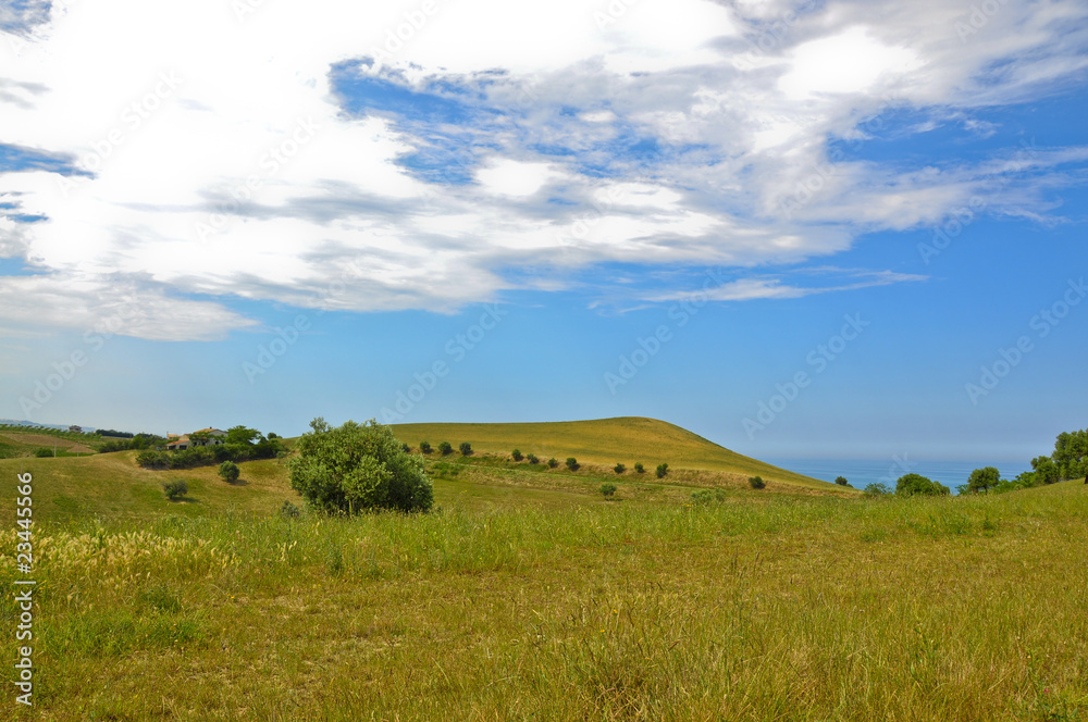 mare dalla collina 15