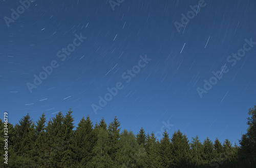 Pine trees with stars