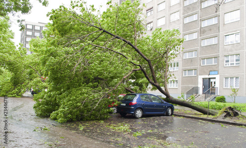 Storm damage
