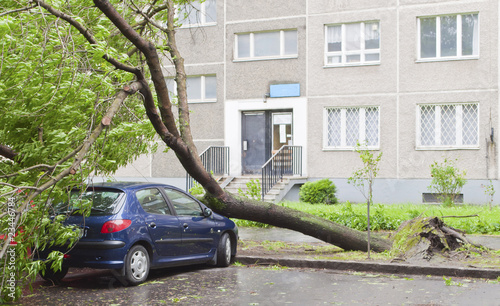 Storm damage