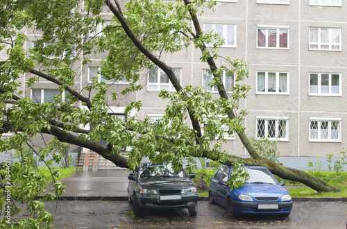 Damaged cars