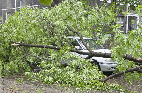Storm damage