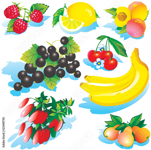 Fototapeta Naklejka Na Ścianę i Meble -  Various juicy fruits on a white background.