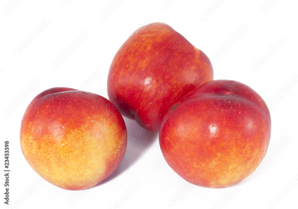 Nectarine Nectarine