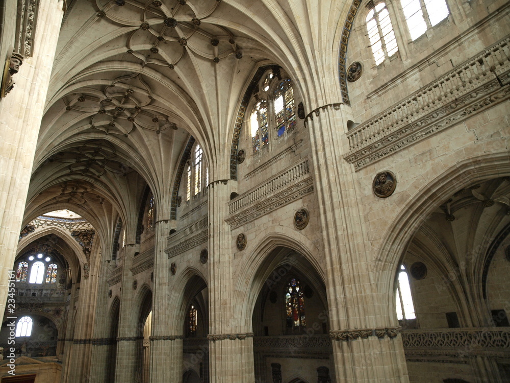 Boveda de la Catedral Nueva de Salamanca