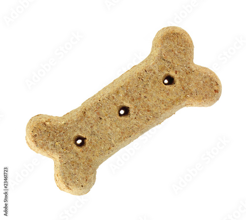 Brown dog biscuit
