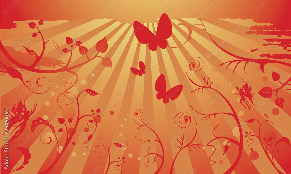 Mariposas en composición naraja