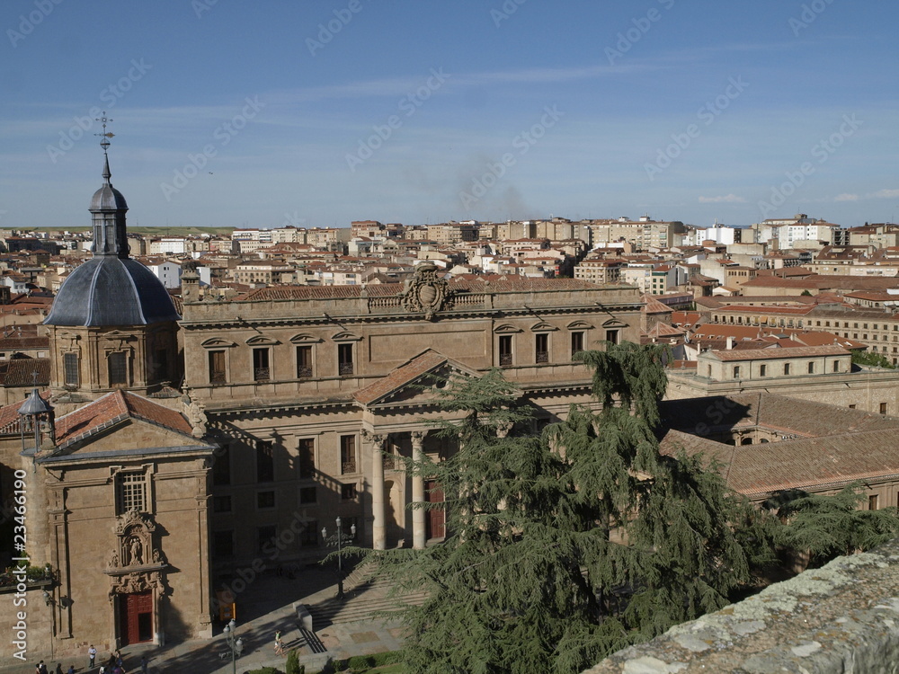 Palacio de Anaya desde lo alto de la catedral de Salamanca