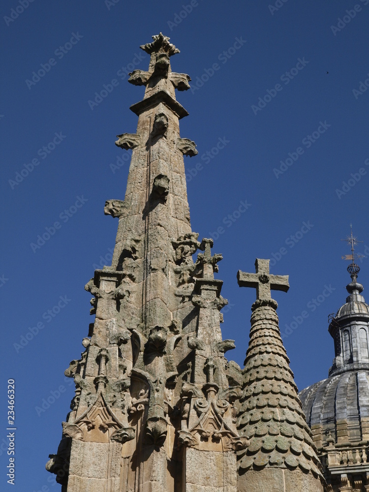 Agujas de la Catedral Nueva de Salamanca Agujas de la Catedral Nueva de Salamanca