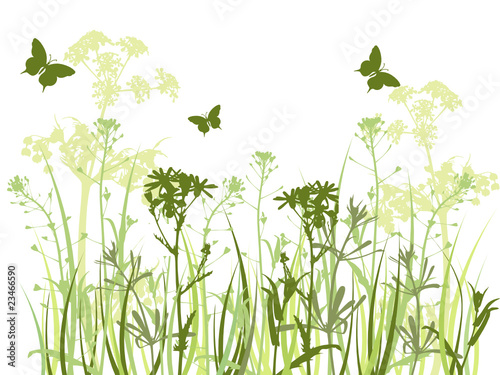 green background with grass and butterflies