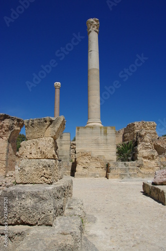 Ruines de Carthage en Tunisie
