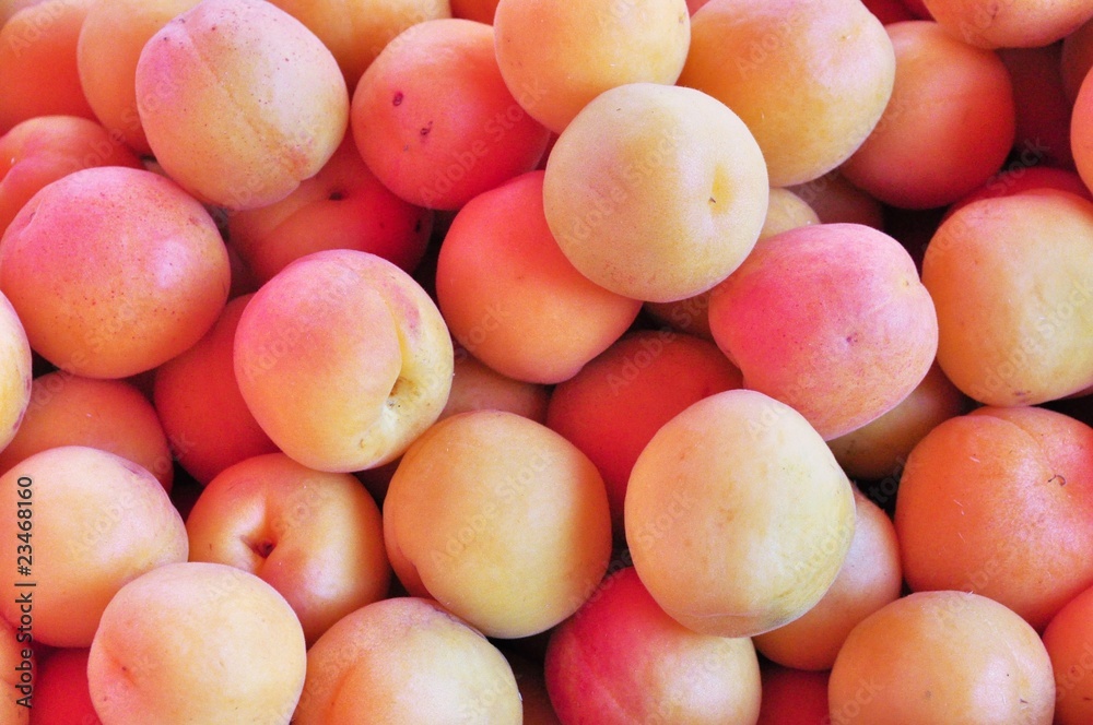 Apricot