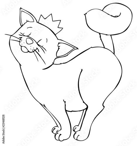 Katze, Kater, König, Krone, Haustier, Hauskatze