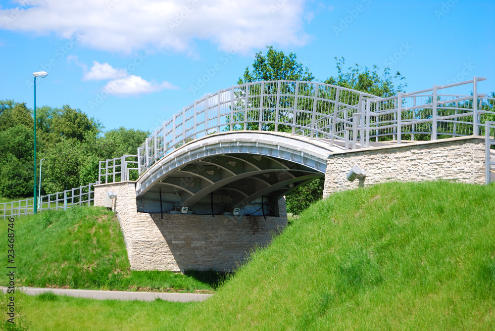 Fototapeta premium The foot bridge over a path