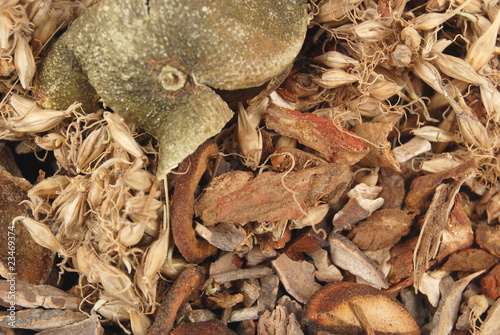Fotografie traditional chinese medicine
