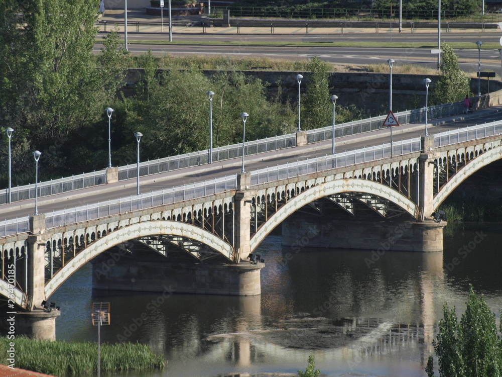 Fototapeta premium Puente de hierro en Salamanca