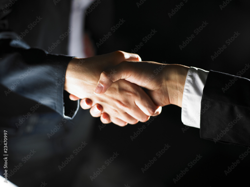Handshake Handshaking on light and dark Handshake Handshaking on light and dark