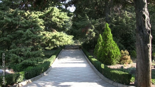 Sidewalk in the park