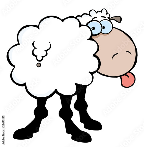 Funky Sheep Sticking Out His Tongue
