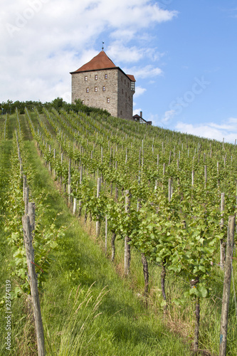 Burg Wildeck