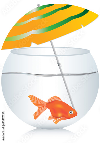 pesce
