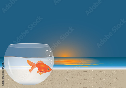 pesce