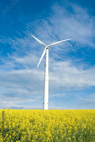 Wind turbines,yellow field. © HappyHaus