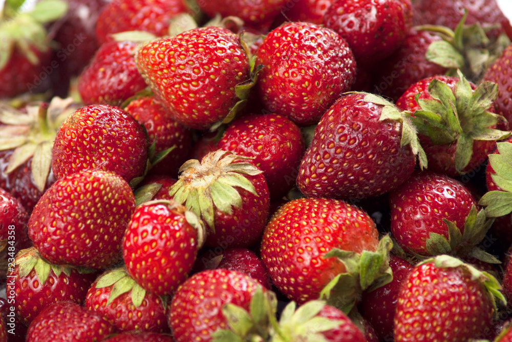 strawberry strawberry