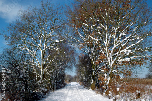 Winterlandschaft photo