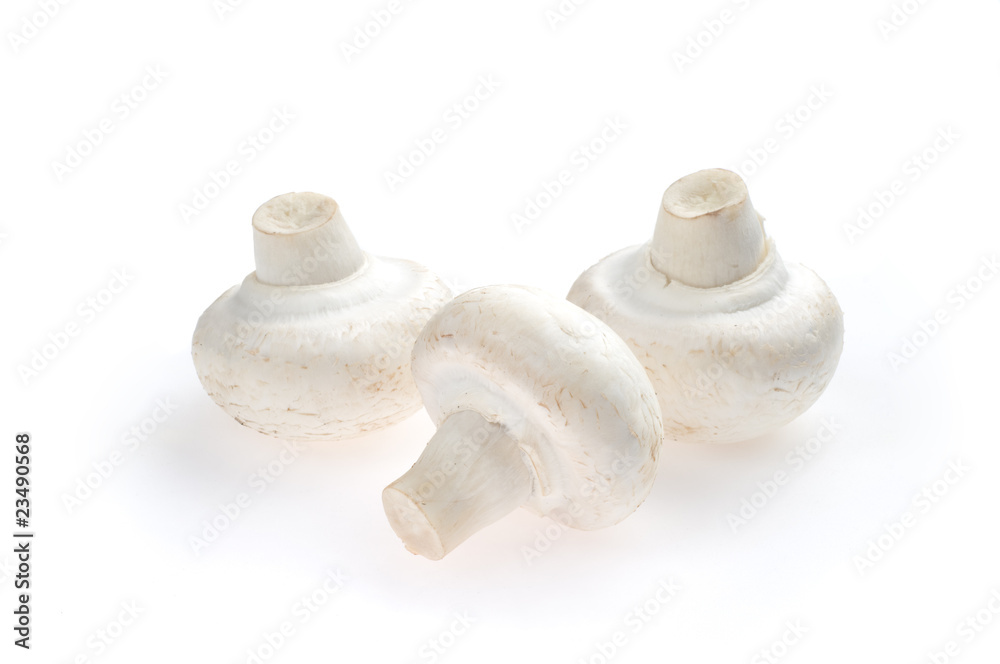 Three mushrooms Three mushrooms