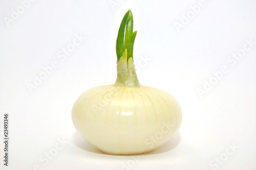 Лук для здоровья.