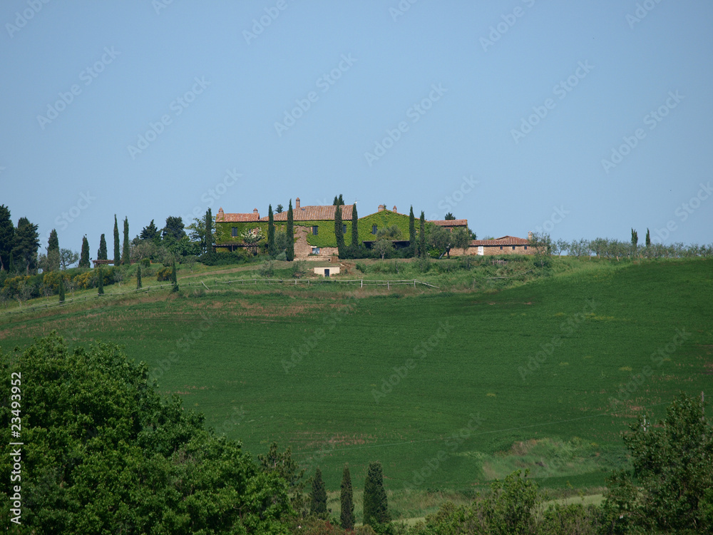 The landscape of the Val d’Orcia. Tuscany. Italiy