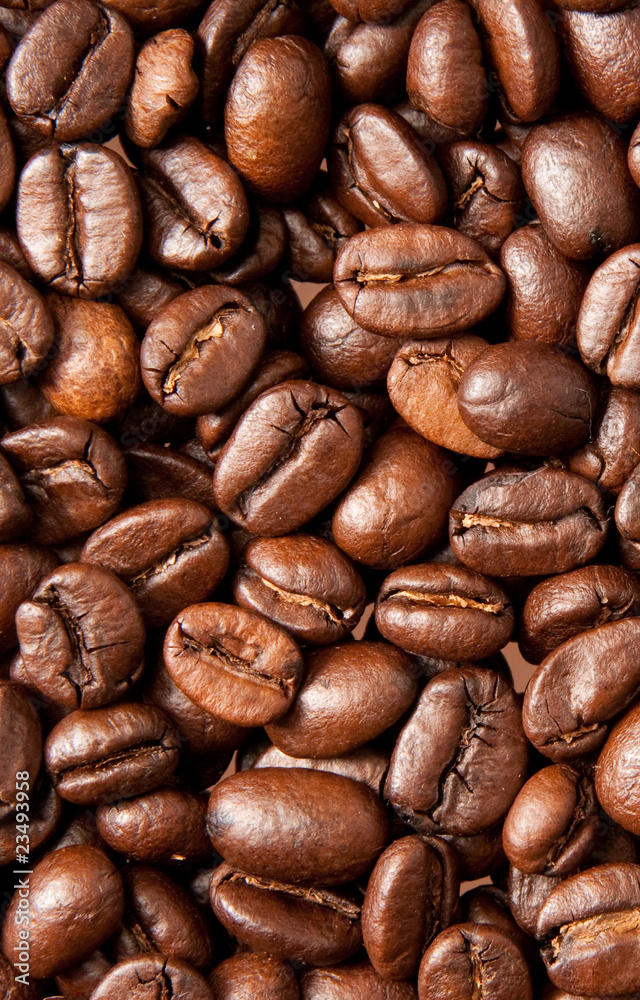 Fototapeta premium coffee