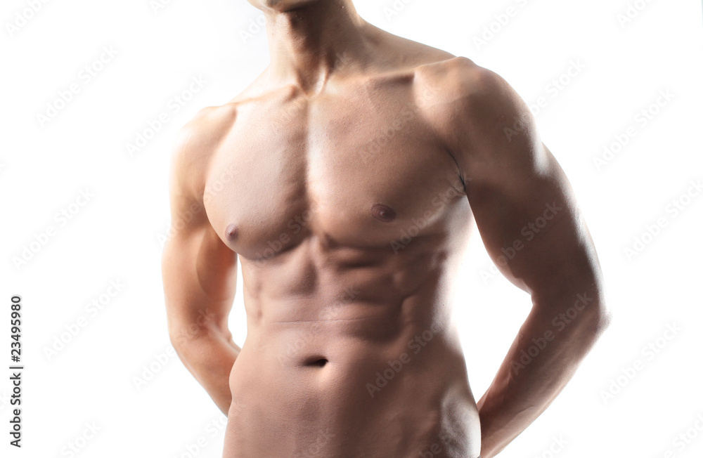 Torso Torso