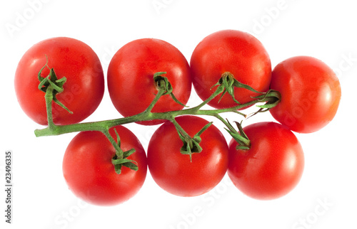 Fresh tomatoes on the white background