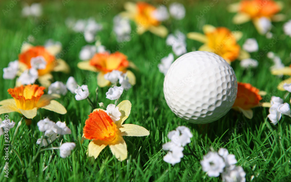 Naklejka premium golf ball