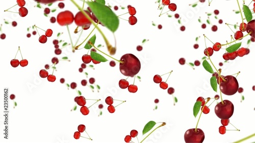 Cherry falling