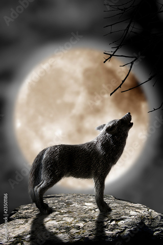 lobo aullando a la luna