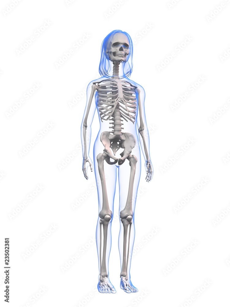 Skelett eines Kindes